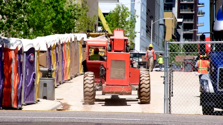 Best Tree Removal  in Sun City West, AZ